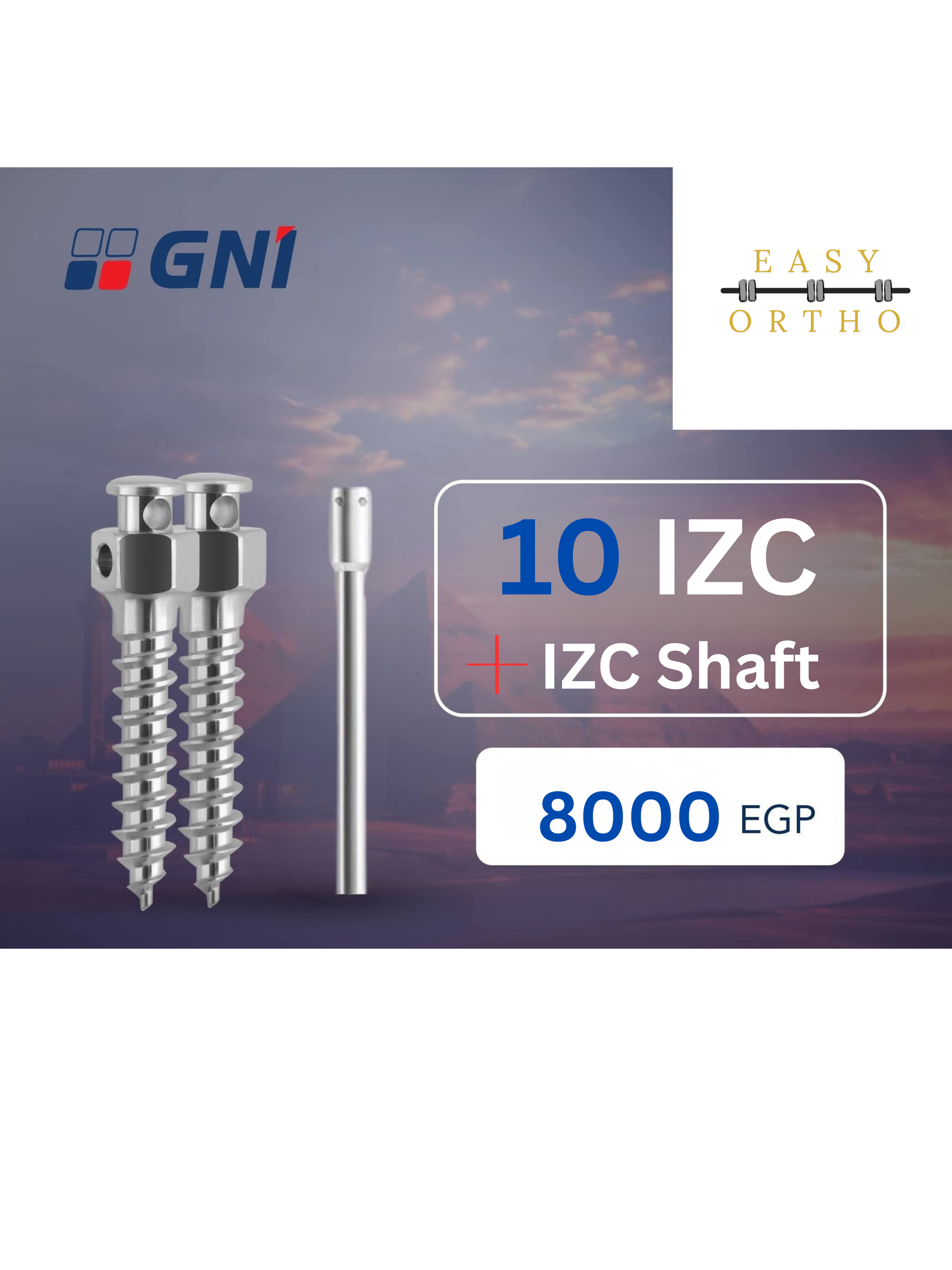 GNI Driver + Screws Offer EasyOrtho