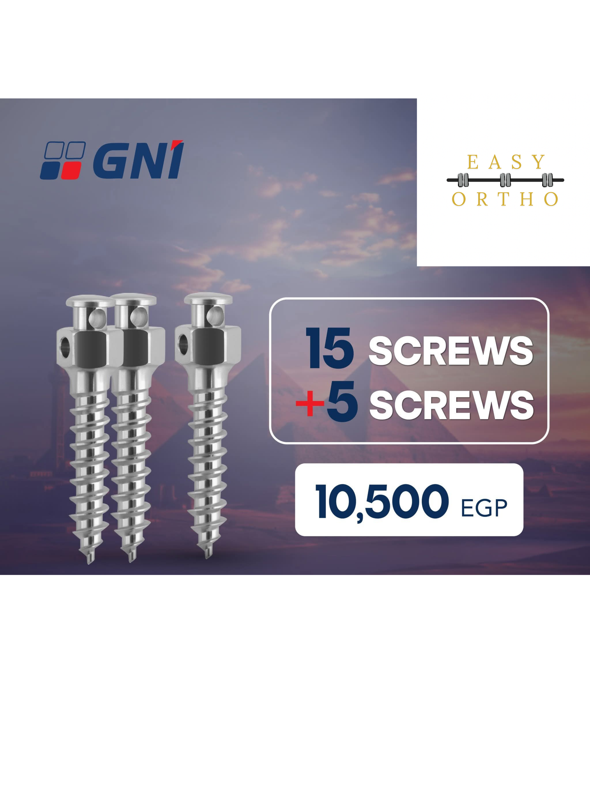 GNI Driver + Screws Offer EasyOrtho