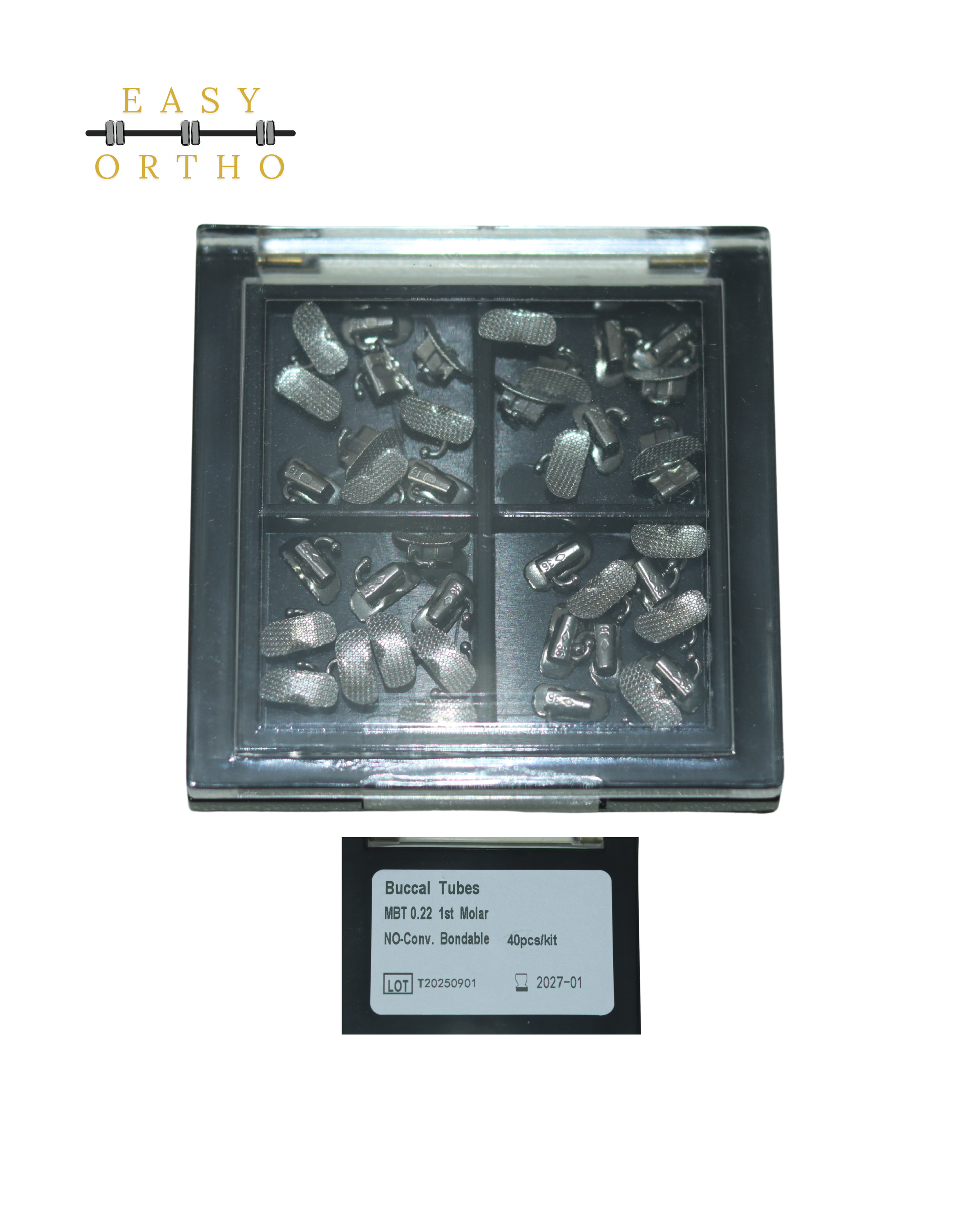 Segma 1st Molar Tubes 10 Cases High Quality