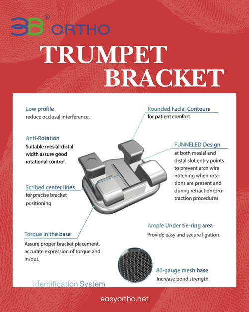 3b mini bracket trumpet edition
