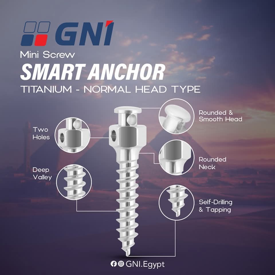 GNI Mini-Screws My Store