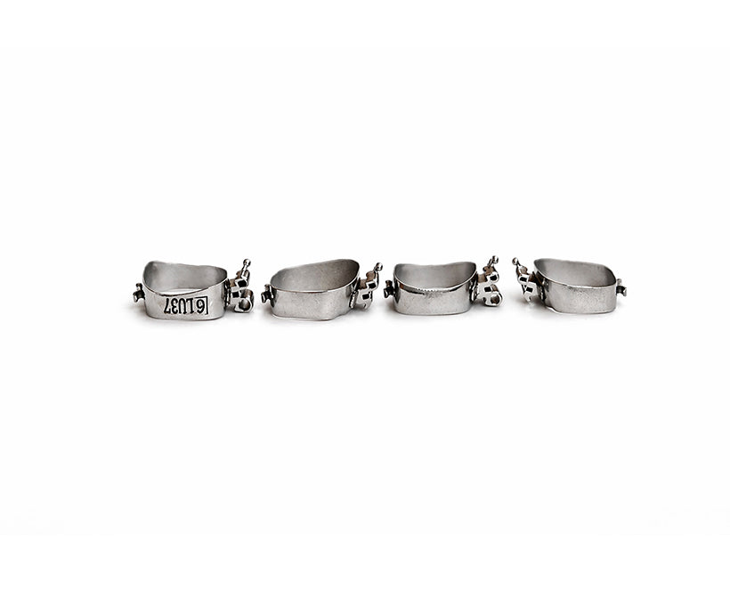 Matt Molar Bands