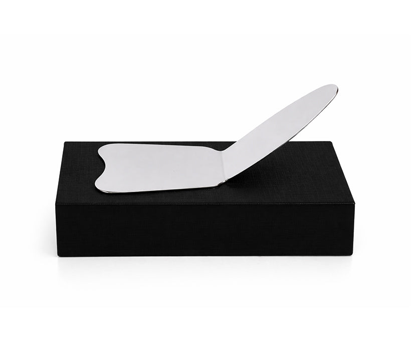 Matt Stainless Steel Autoclavable Mirror